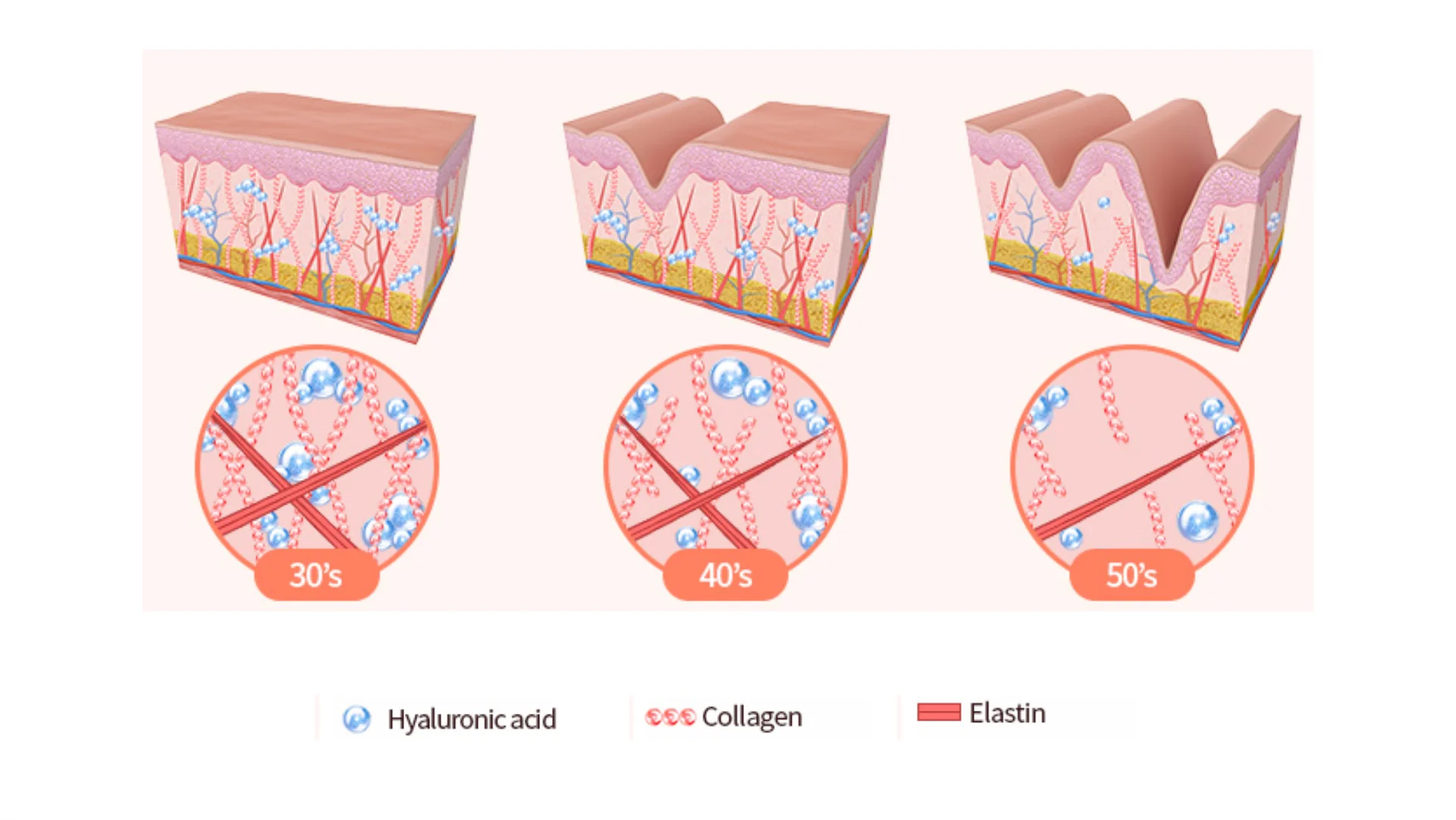 Lifting Skin Elasticity lifting-skin-elasticity