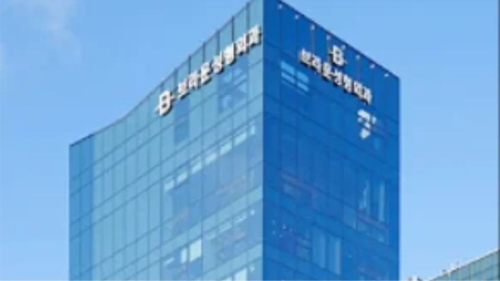 braun plastic surgery